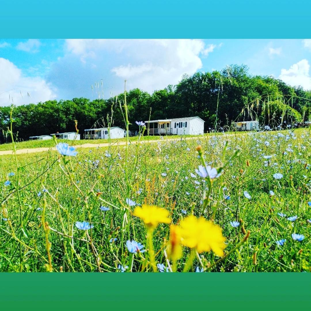 Camping Nature Le Valenty Mobil-Home-Dordogne Panoramique Clim Piscine Soturac Luaran gambar