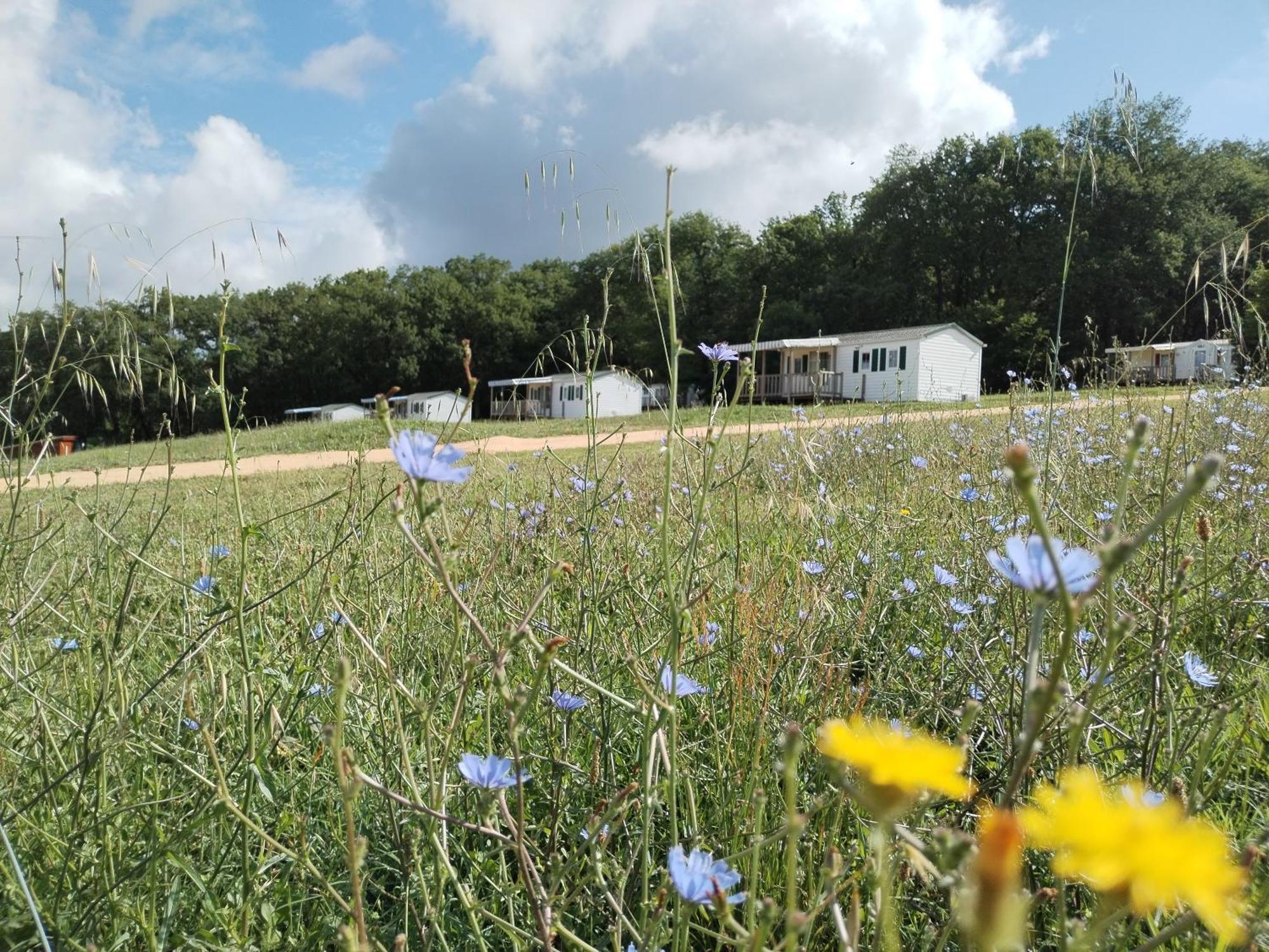 Camping Nature Le Valenty Mobil-Home-Dordogne Panoramique Clim Piscine Soturac Luaran gambar