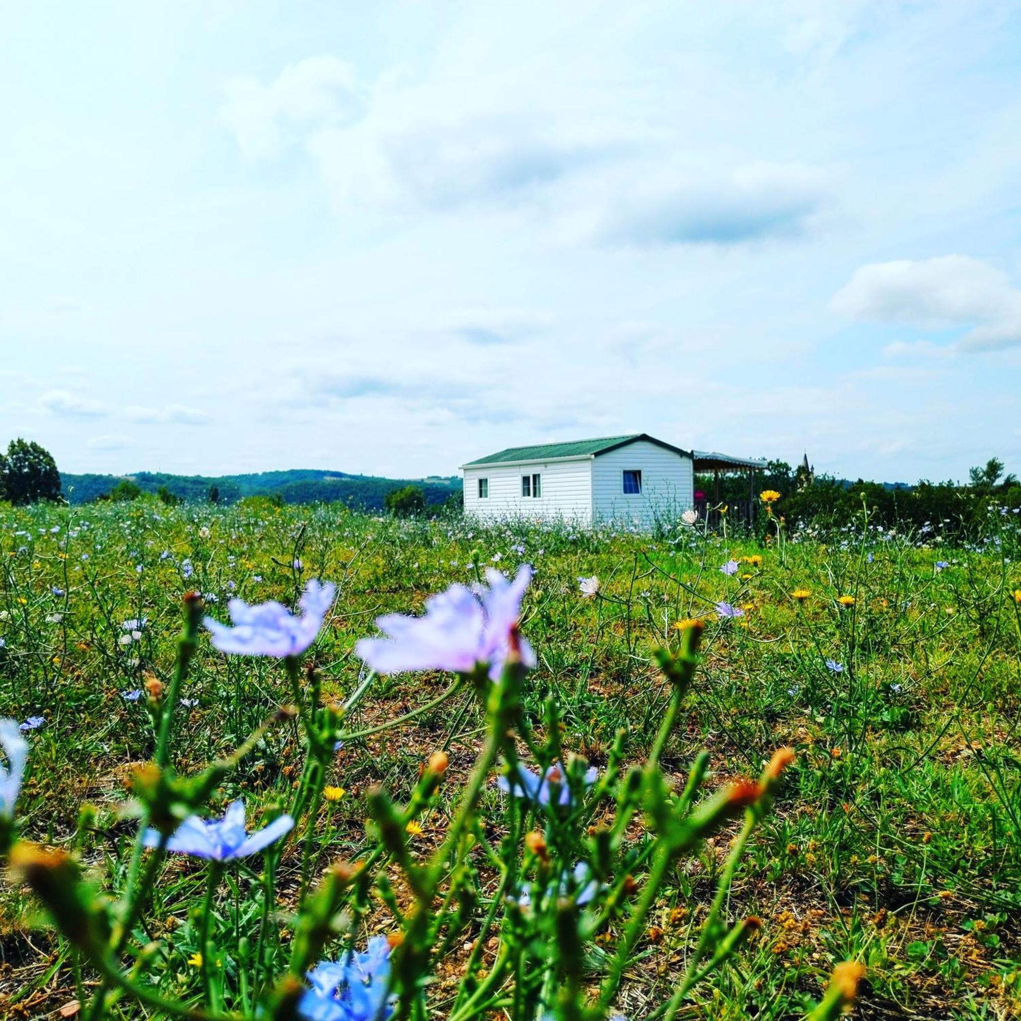Camping Nature Le Valenty Mobil-Home-Dordogne Panoramique Clim Piscine Soturac Luaran gambar