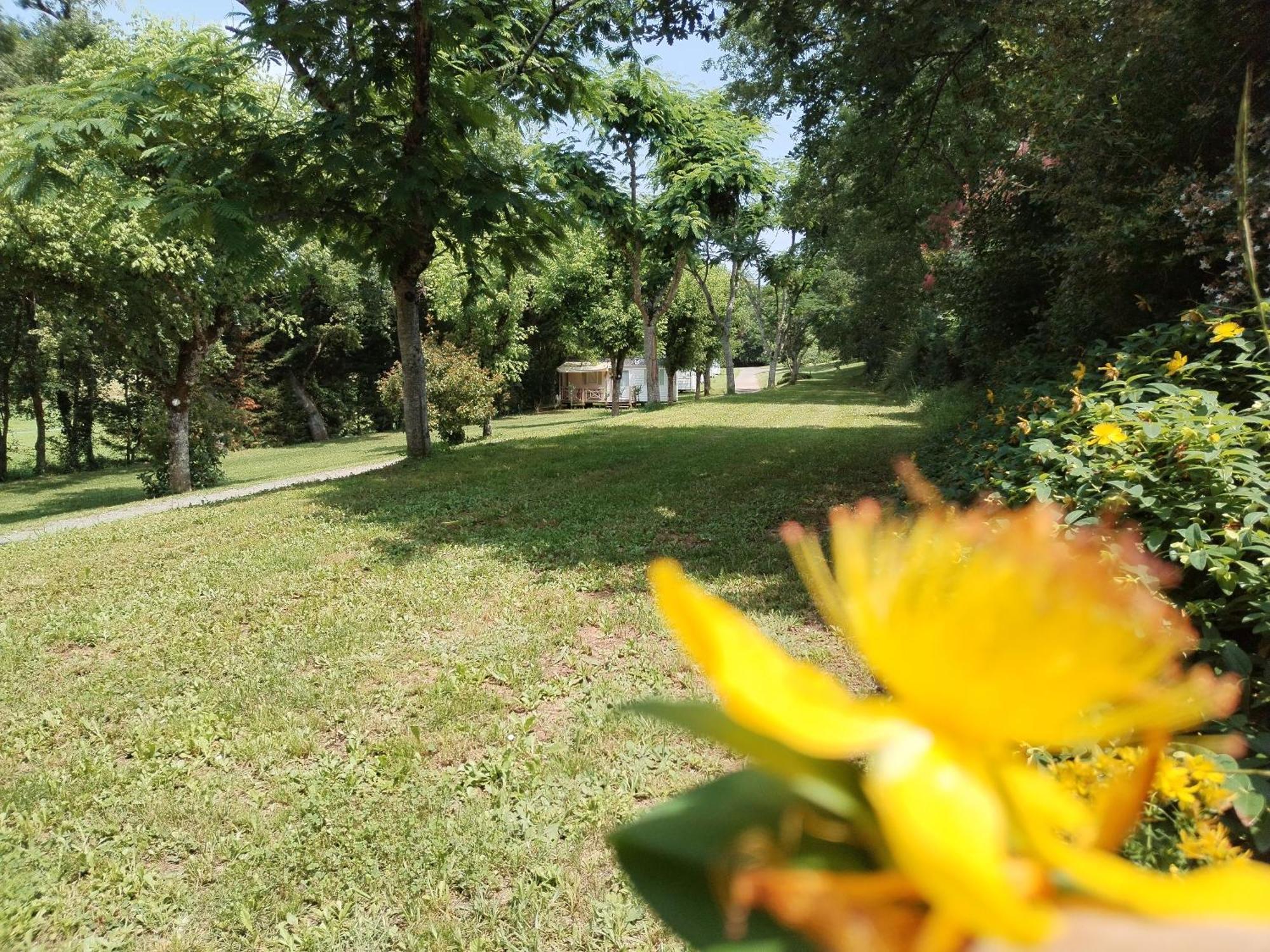 Camping Nature Le Valenty Mobil-Home-Dordogne Panoramique Clim Piscine Soturac Luaran gambar
